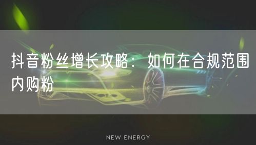 抖音粉丝增长攻略：如何在合规范围内购粉