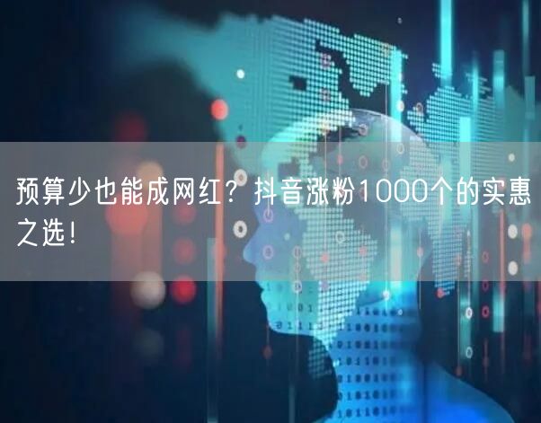 预算少也能成网红？抖音涨粉1000个的实惠之选！