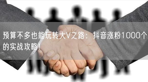 优化后的标题：预算不多也能玩转抖音涨粉，实战攻略：清晰定位+优质内容+利用算法+