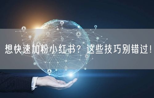 想快速加粉小红书？这些技巧别错过！