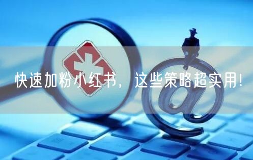 快速加粉小红书，这些策略超实用！