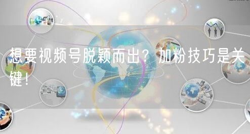 想要视频号脱颖而出？加粉技巧是关键！