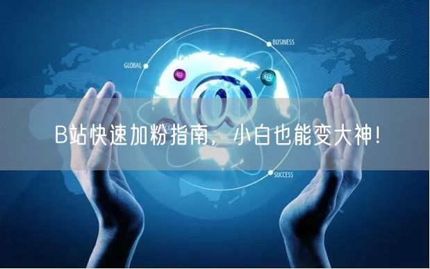 B站快速加粉指南，小白也能变大神！