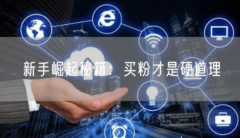 新手崛起秘籍：买粉才是硬道理