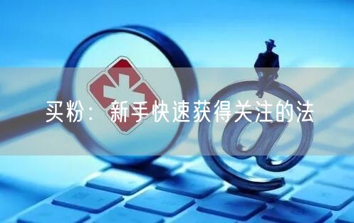 买粉：新手快速获得关注的法