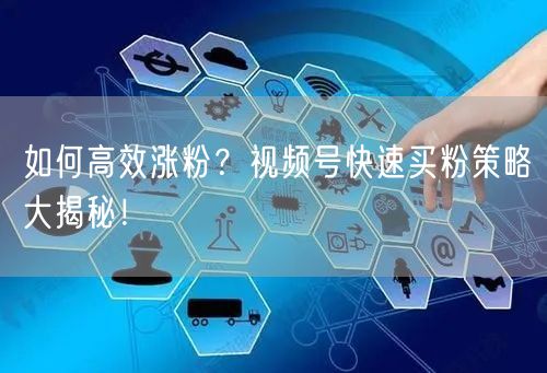 如何高效涨粉？视频号快速买粉策略大揭秘！