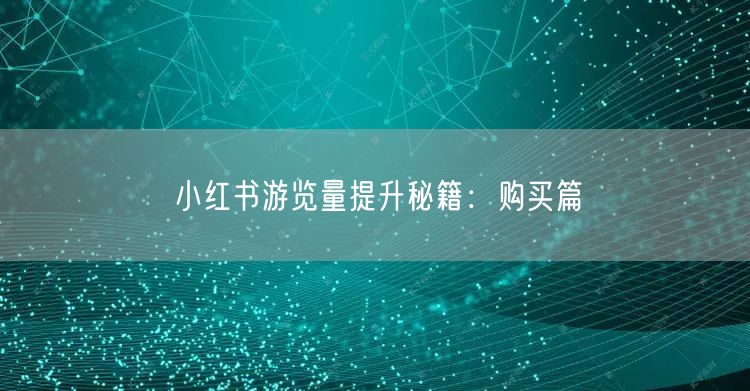 小红书游览量提升秘籍：购买篇