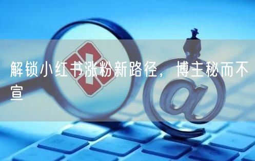 解锁小红书涨粉新路径，博主秘而不宣