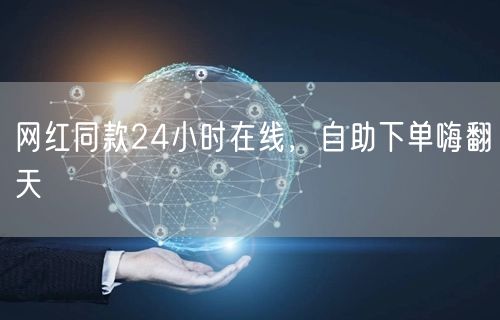 网红同款24小时在线，自助下单嗨翻天