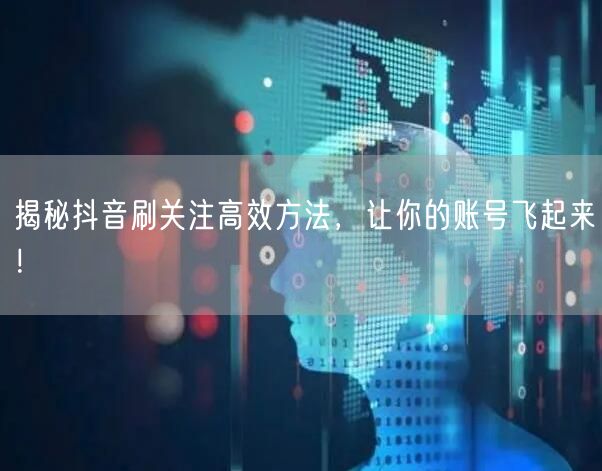 揭秘抖音刷关注高效方法，让你的账号飞起来！