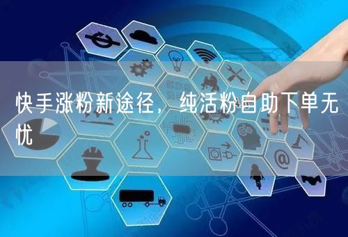 快手涨粉新途径，纯活粉自助下单无忧
