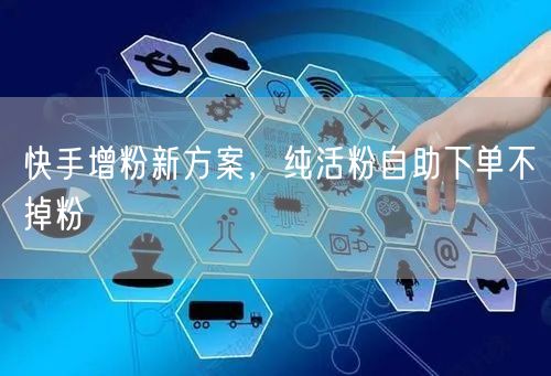 快手增粉新方案，纯活粉自助下单不掉粉