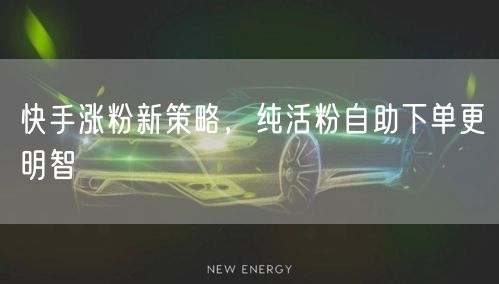快手涨粉新策略，纯活粉自助下单更明智