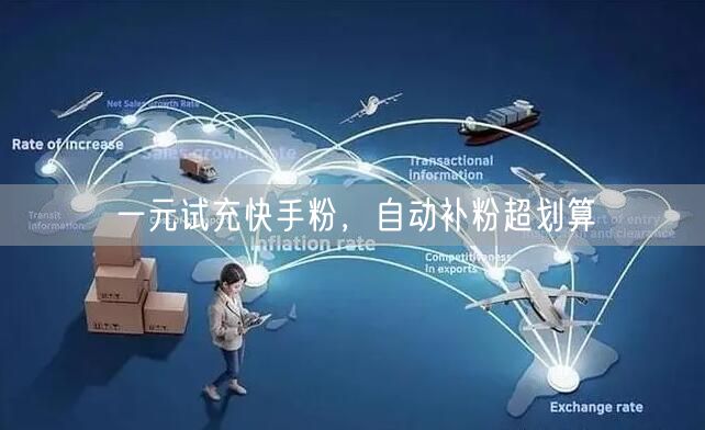 一元试充快手粉，自动补粉超划算