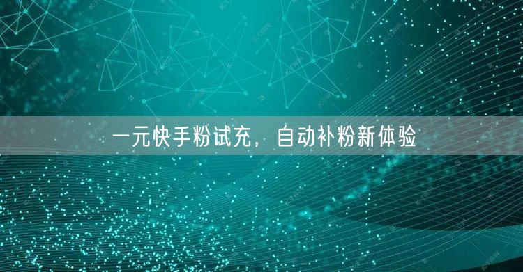一元快手粉试充，自动补粉新体验