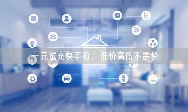 一元试充快手粉，低价高质不是梦