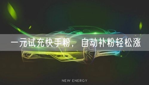 一元试充快手粉，自动补粉轻松涨