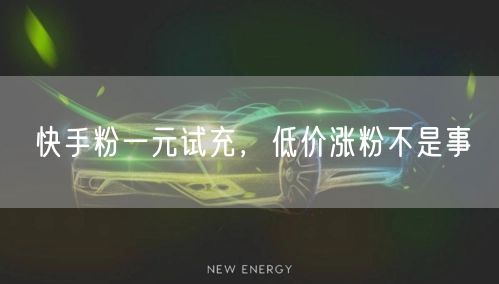 快手粉一元试充，低价涨粉不是事