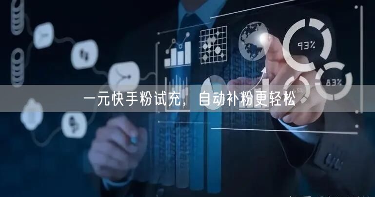 一元快手粉试充，自动补粉更轻松