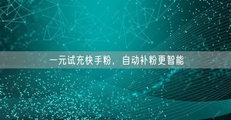 一元试充快手粉，自动补粉更智能