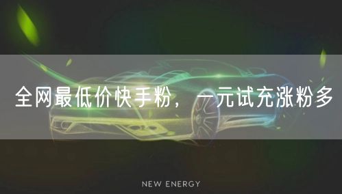 全网最低价快手粉，一元试充涨粉多