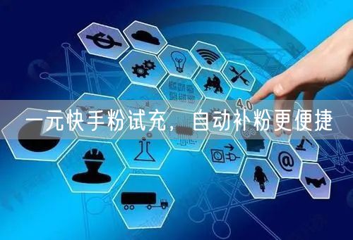 一元快手粉试充，自动补粉更便捷
