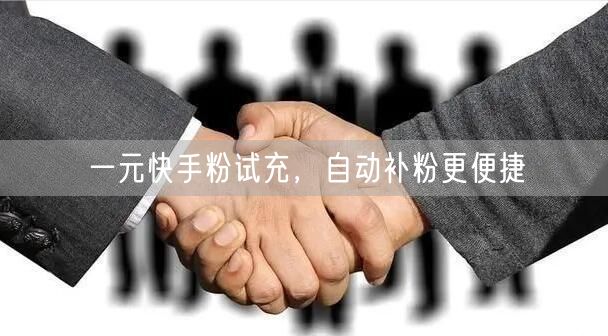 一元快手粉试充，自动补粉更便捷