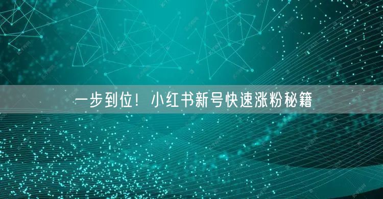一步到位！小红书新号快速涨粉秘籍