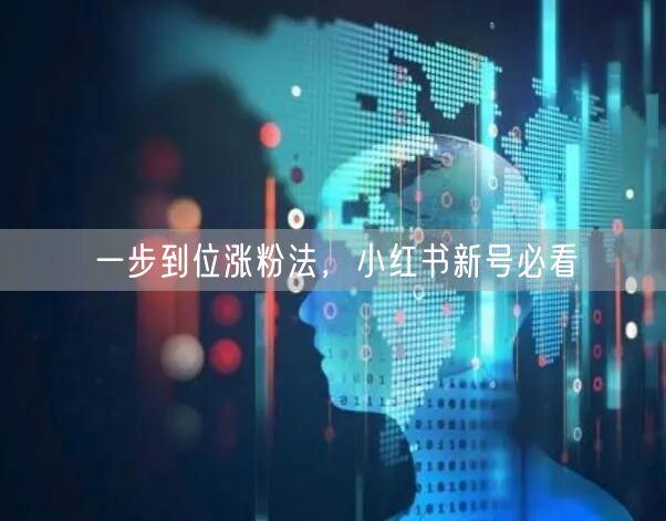 一步到位涨粉法，小红书新号必看