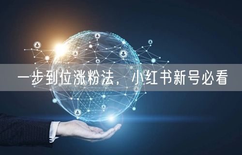 一步到位涨粉法，小红书新号必看