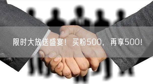 限时大放送盛宴！买粉500，再享500！