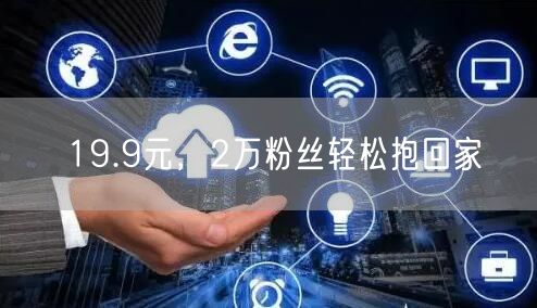 19.9元，2万粉丝轻松抱回家
