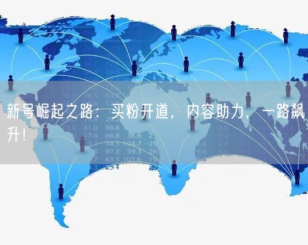 新号崛起之路：买粉开道，内容助力，一路飙升！