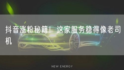 抖音涨粉秘籍！这家服务稳得像老司机