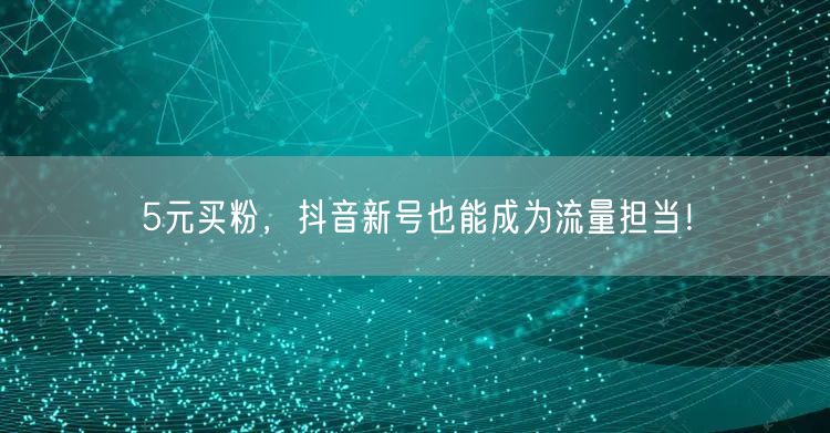 5元买粉，抖音新号也能成为流量担当！