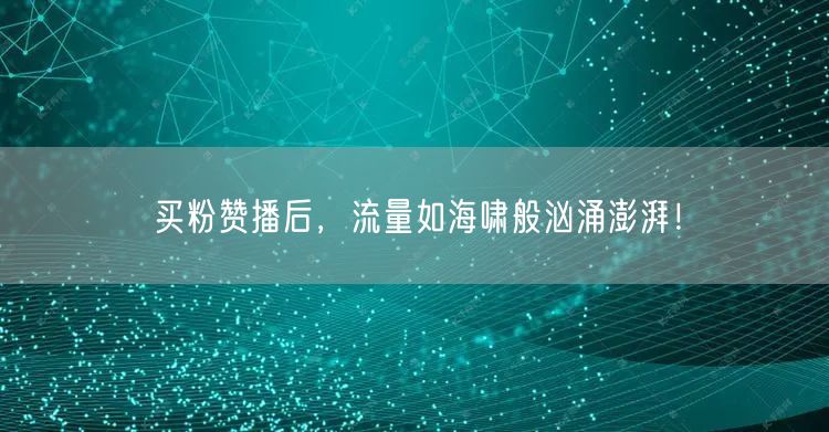 买粉赞播后，流量如海啸般汹涌澎湃！