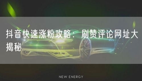 抖音快速涨粉攻略：刷赞评论网址大揭秘