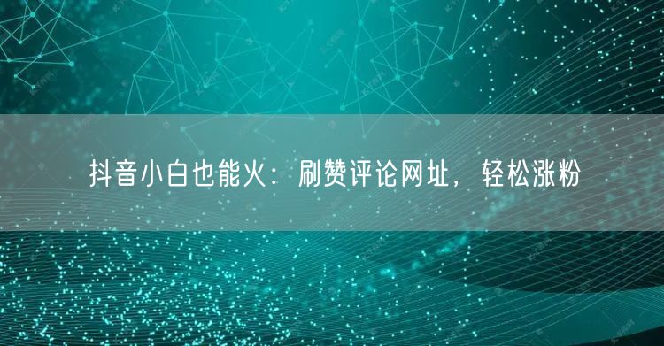抖音小白也能火：刷赞评论网址，轻松涨粉
