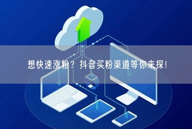 想快速涨粉？抖音买粉渠道等你来探！