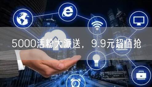 5000活粉大派送，9.9元超值抢