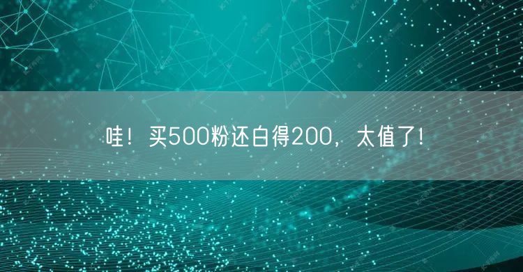 哇！买500粉还白得200，太值了！
