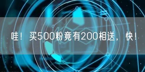 哇！买500粉竟有200相送，快！