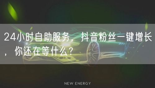 24小时自助服务，抖音粉丝一键增长，你还在等什么？