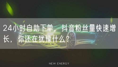 24小时自助下单，抖音粉丝量快速增长，你还在犹豫什么？