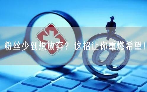 粉丝少到想放弃？这招让你重燃希望！