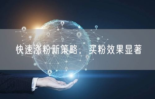 快速涨粉新策略，买粉效果显著