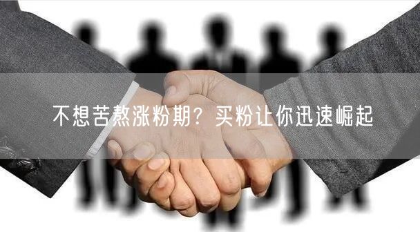 不想苦熬涨粉期？买粉让你迅速崛起