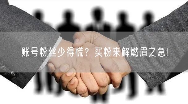 账号粉丝少得慌？买粉来解燃眉之急！