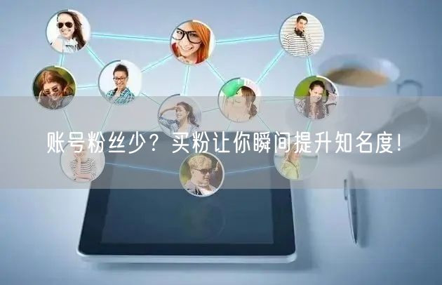 账号粉丝少？买粉让你瞬间提升知名度！