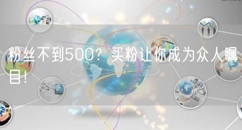粉丝不到500？买粉让你成为众人瞩目！